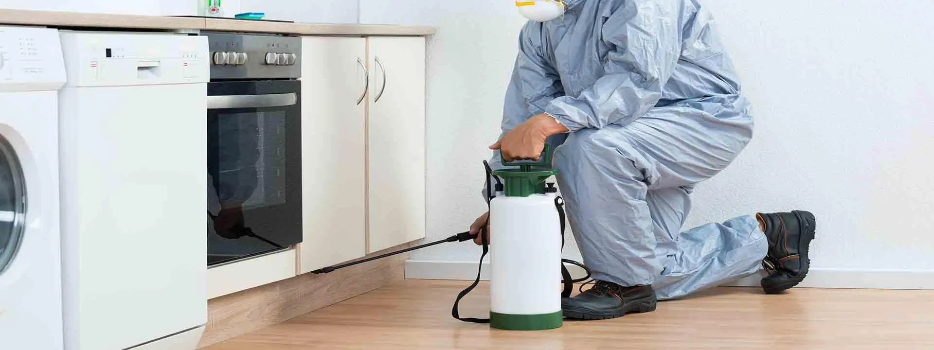 Bandeau Désinfection de logements sur Les Abymes