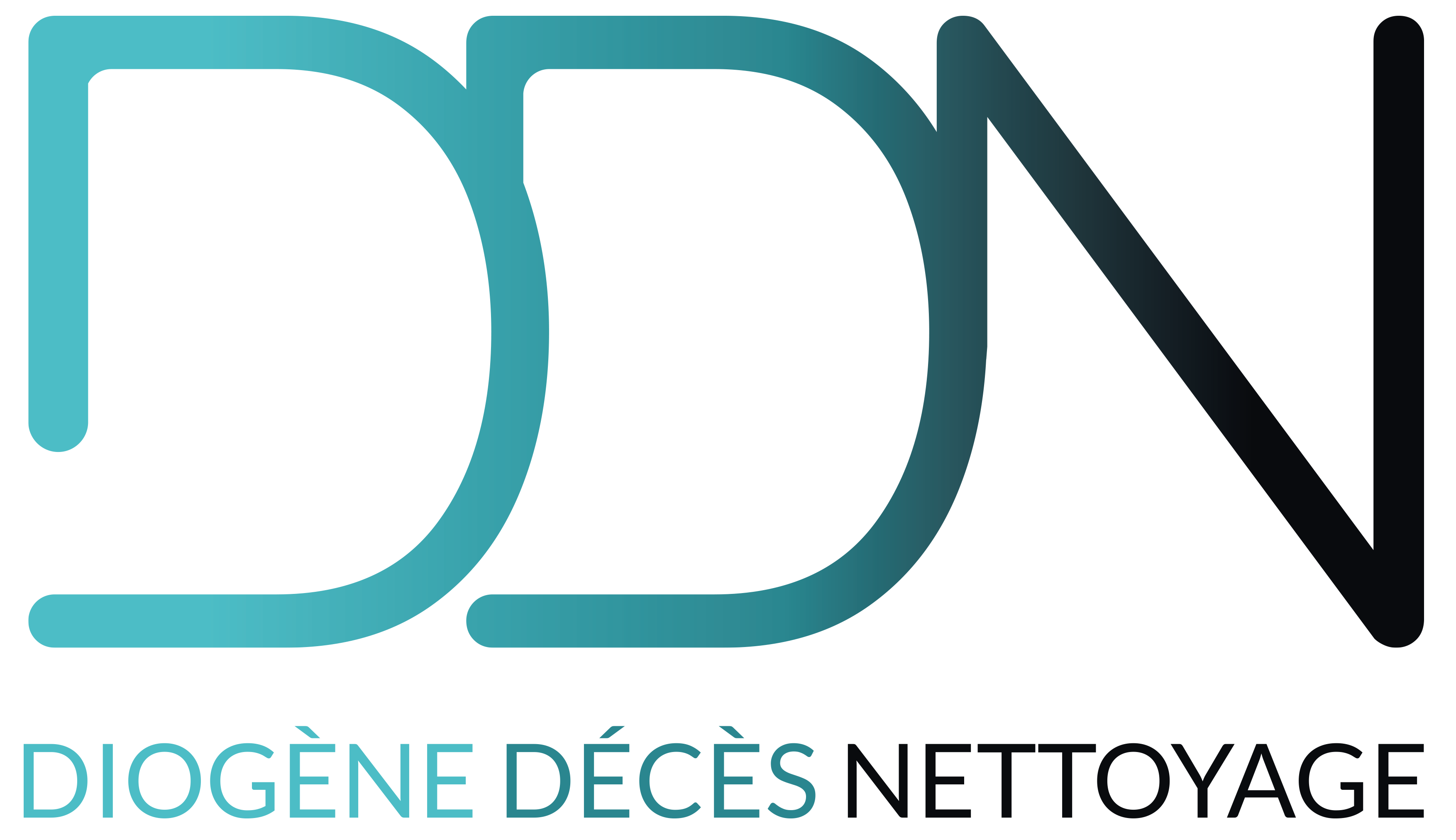 Logo de la société de nettoyage  DDN