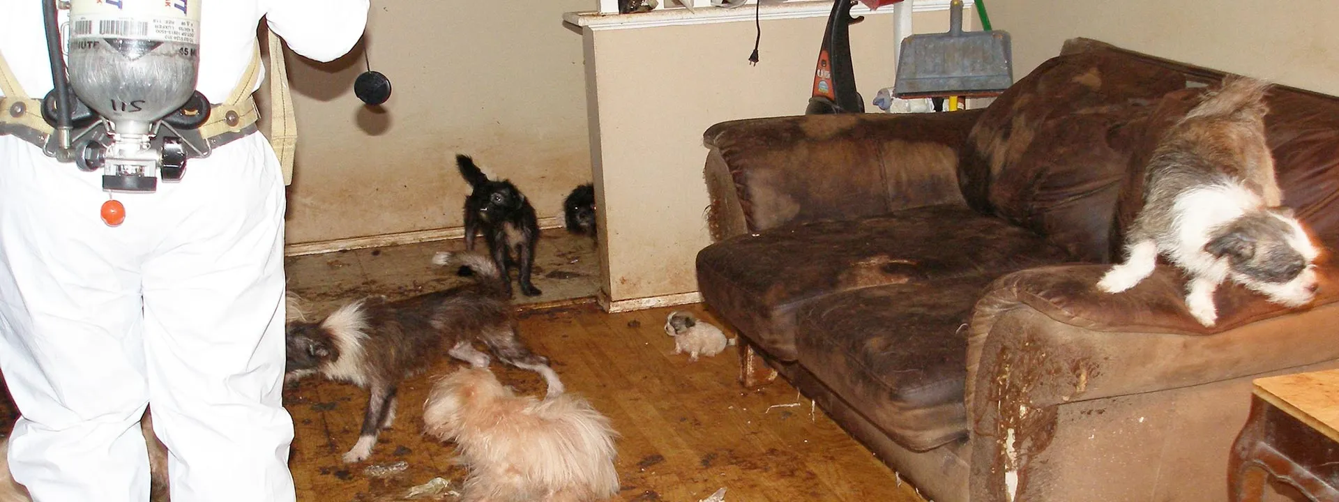 Bandeau Nettoyage syndrome de Noé et animal hoarding sur Laval